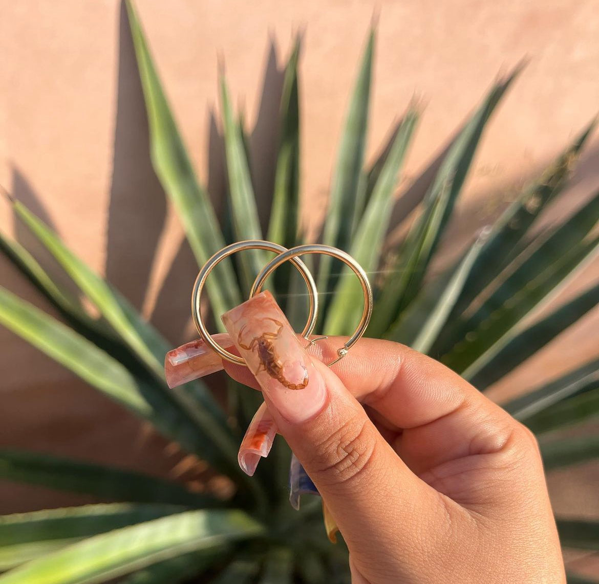 14k Gold Hoops